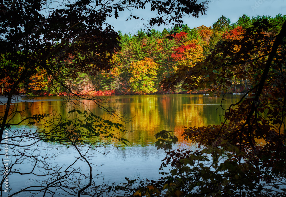 Canvas Prints it is late october in upstate ny, but you can still find great autumn color if you look for it. brig