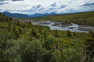 View of Savage River in Denali National Park and Preserve,Alaska,United States,North America
