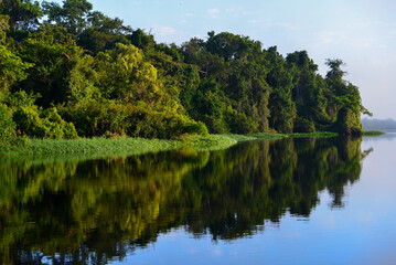 Early morning on the dense, rainforest-lined Guaporé-Itenez river, near the remote village of Remanso, Beni Department, Bolivia, on the border with Rondonia state, Brazil
