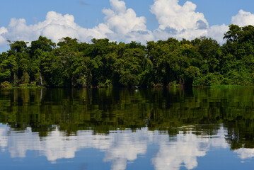 Fototapeta na wymiar Cloud and rainforest reflections on the Guaporé - Itenez river near the small, remote village of Remanso, Beni Department, Bolivia, on the border with Rondonia state, Brazil
