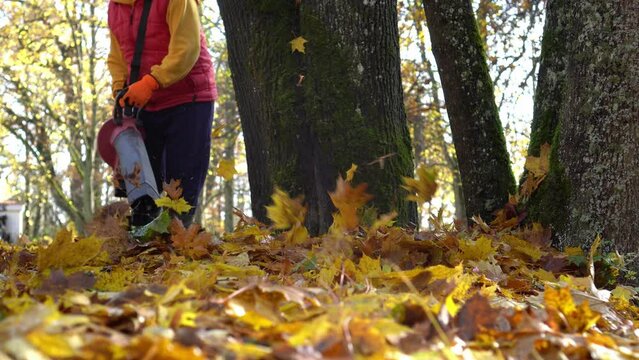 Caucasian man blowing autumn dry leaves near tree trunks in park. Gimbal motion shot.