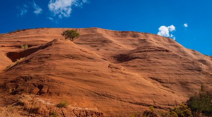 Red rock formation and pinion pine trees growing on the cliff along the Church Rock Trails in Red Rock Park in Gallup, McKinley County, New Mexico, USA