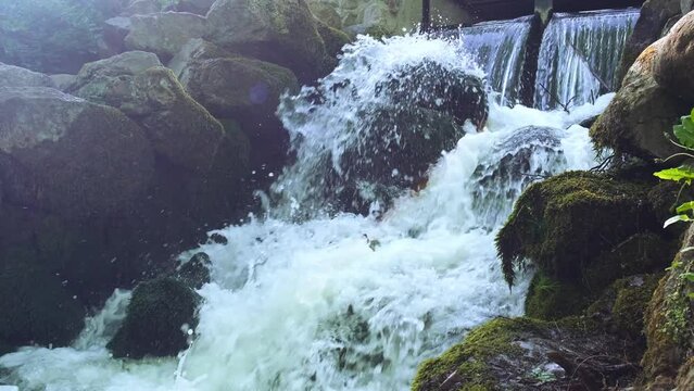 Waterfall cascade in Olivia public park Gdansk Poland. River waterfall falls from cliff and trees. Tourist attraction with small waterfall and clear water Unity with nature