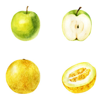 Watercolor illustration, set. Melon, half melon, apple, half apple.