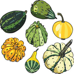 vector autumn illustration for the holiday (Halloween) of pumpkins, patisons, zucchini