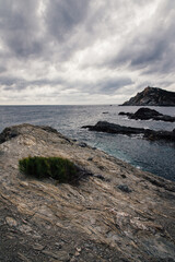 Fototapeta na wymiar île du Gaou. Six-Fours-les-Plages. La Côte d'Azur en automne. La mer et une côte rocheuse. Le littoral méditerranéen 