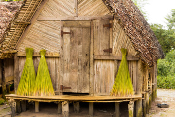 Drying Grass, Madagascar - obrazy, fototapety, plakaty