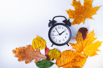Alarm clock on white background and autumn leaves of different colors.