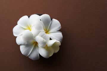 bowl of white frangipani against brown background