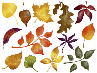 Set of watercolor autumn leaves.