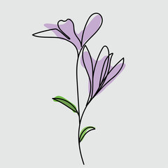 purple flower isolated on white,  Floral and Foliage line art drawing with abstract shapes. 