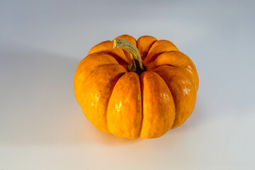 Citrouille orange fond clair. Halloween. Thanksgiving.