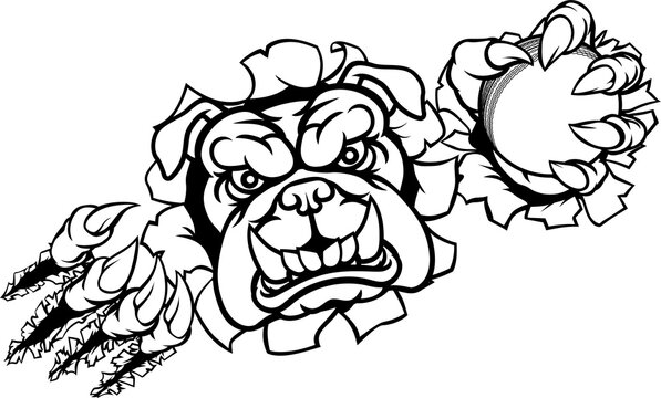 Bulldog Cricket Sports Mascot