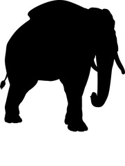 Elephant Animal Silhouette