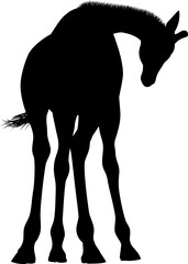Giraffe Safari Animal Silhouette