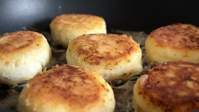 Cottage cheese cakes are fried in a pan with oil. Close up.