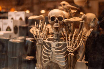 Boutique window display with scary skeleton and skull for Halloween friday shopping, decoration. 