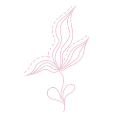 Obraz na płótnie Canvas Abstract outline flower. Transparent PNG.
