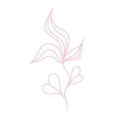 Abstract outline flower. Transparent PNG.