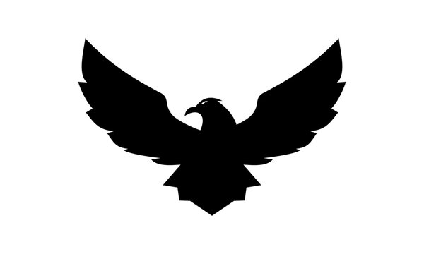 black eagle bird logo vector.