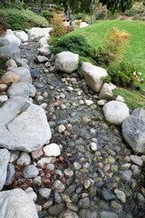 stream in the forest