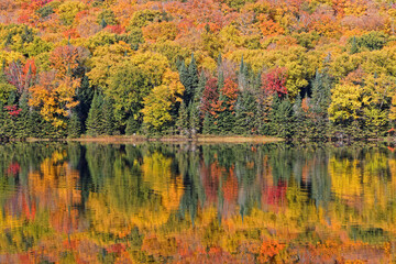 Perfect reflections of fall colors at Monroe Lake, Mont-Tremblant National Park, Quebec