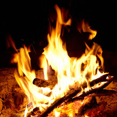 Campfire