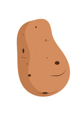 Isolated brownish fresh potato vector with a white background