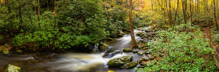 Naklejka na ściany i meble Long Branch Creek Rushing Through Fall Forest