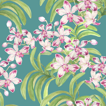 Seamless Philippine flora Vanda luzonica pattern tile