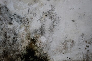 A weathered concrete wall with cracks and peeling paint, showing signs of age and decay.