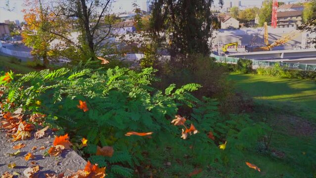 Beautiful colorful autumn leaves falling from the sky to the ground with construction site on a sunny autumn day at City of Zürich. Slow motion movie shot October 22nd, 2022, Zurich, Switzerland.