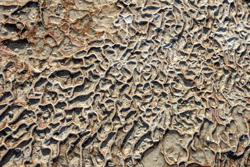 texture of a stone wall