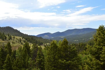 Fototapeta na wymiar Mountain Valley View with pine trees