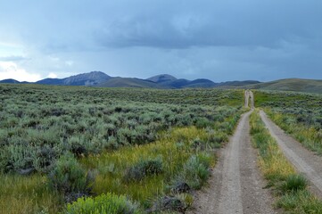 Fototapeta na wymiar Rural Mountain Road through a sagebrush meadow