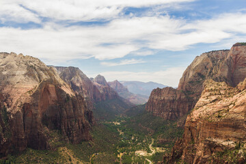 Fototapeta premium zion national park