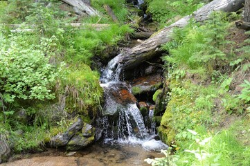 Mountain Stream with small waterfall