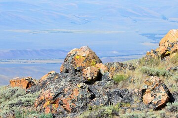 Rocky Mountain Hillside