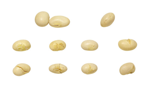 節分豆大豆 の画像 4 666 件の Stock 写真 ベクターおよびビデオ Adobe Stock