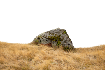 gray rock in high yellow grass to cut out. isolated stone against a white background. ideal for image composing. Nature, Composing element