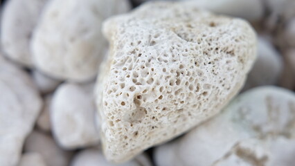 texture of stone by the sea