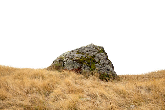 gray rock in high yellow grass to cut out. isolated stone against a white background. ideal for image composing. Nature, Composing element