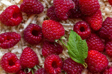 raspberries on a light background