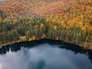 Fall Colors in the Pisgah National Forest in Western North Carolina