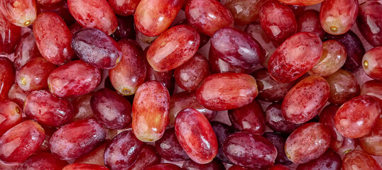 Wide banner of juicy red sweet grapes