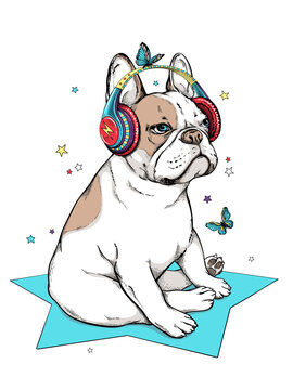 Cute french bulldog with bright headphones . Dog with butterflies . Stylish summer picture for printing on any surface
