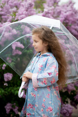 A sweet girl of five years with a transparent umbrella against the background of blooming lilacs enjoys spring and has a fun. Pastel colors. Spring. Childhood. Beauty.