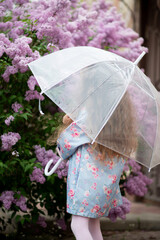 A sweet girl of five years with a transparent umbrella against the background of blooming lilacs enjoys spring and has a fun. Pastel colors. Spring. Childhood. Beauty.