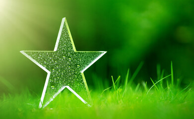 A star in dew drops and sun rays stands on the ground. A glass transparent star in the grass.Winner's cup on a green background. - Powered by Adobe