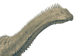 alamosaurus in white background close up view